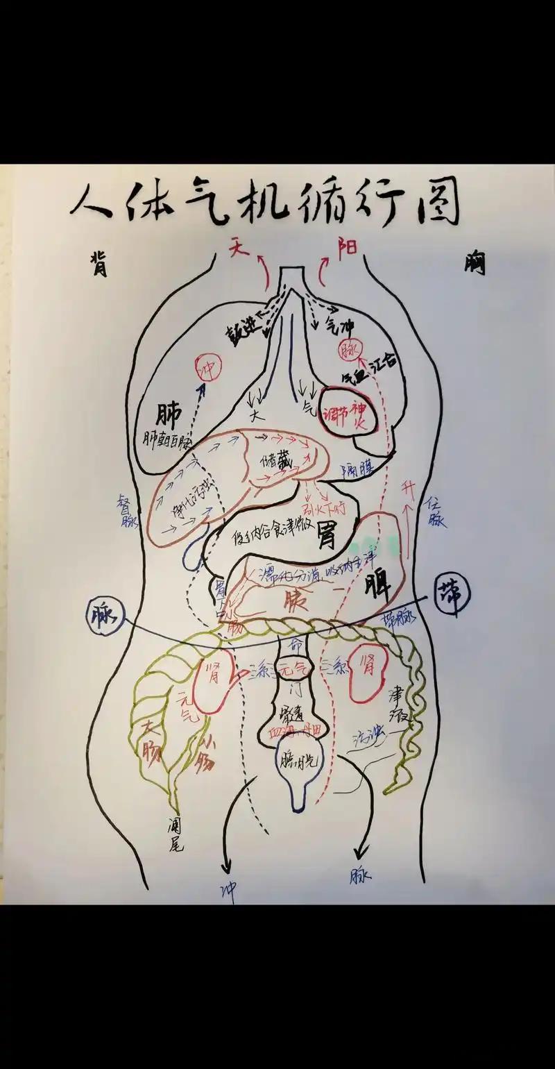 为什么“没力气”往往不是缺营养。很多人浑身疲惫、四肢发软，总以为是营养不够，大鱼