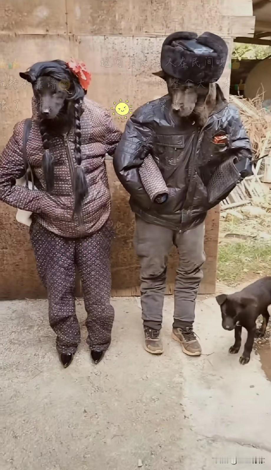 你们看像谁评论区见