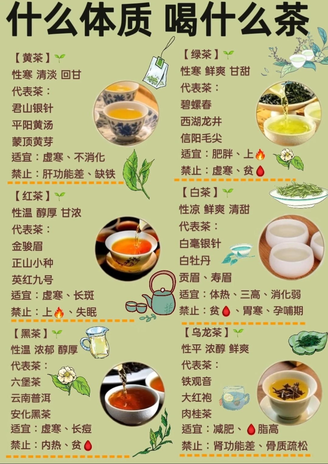 什么体质喝什么茶，别再喝错了！