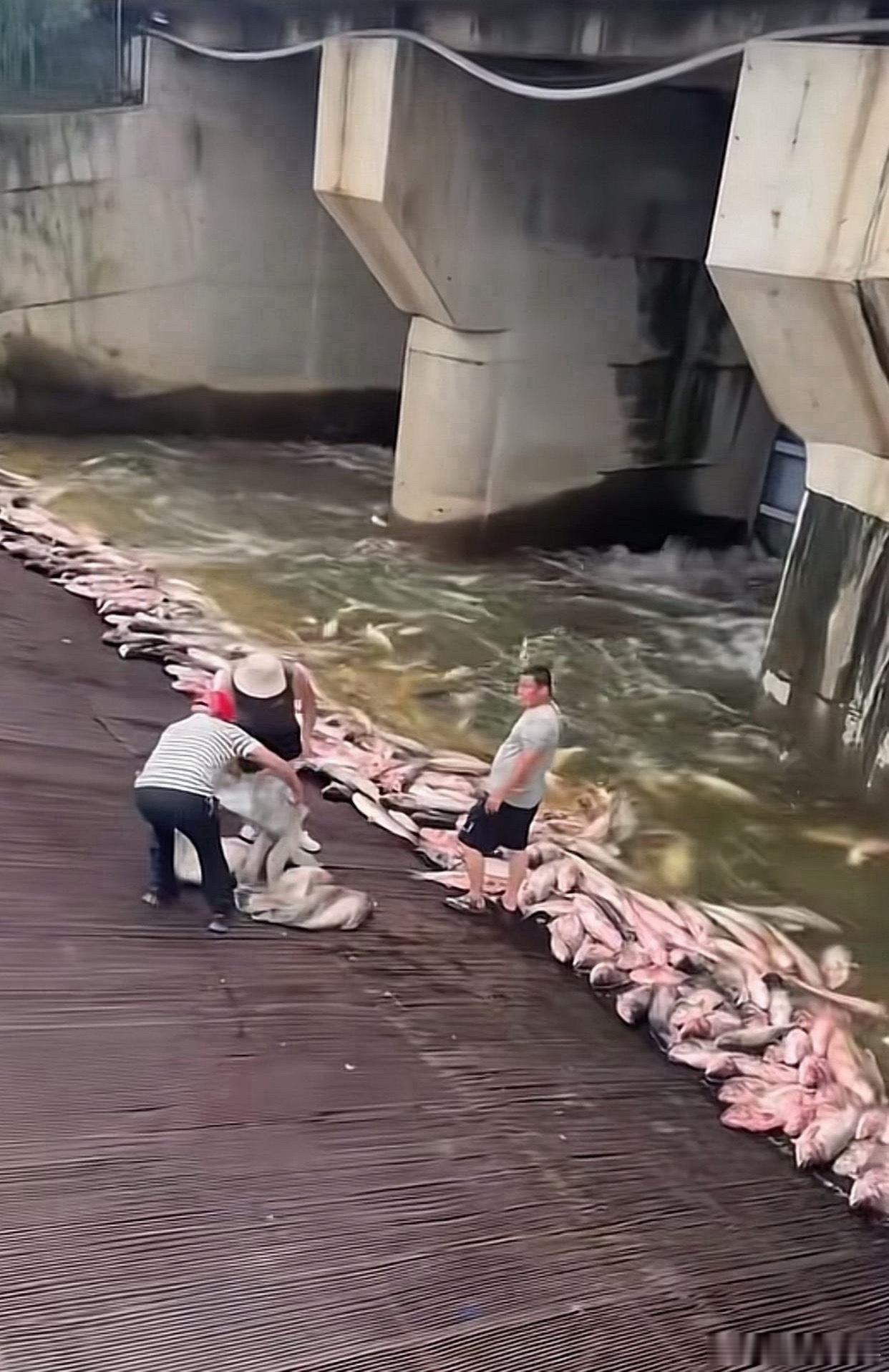 做梦都不敢这么做