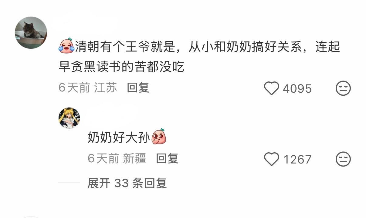 找工作经过我慎重的职业规划考量，发现最适合我的工作是做一个不参与夺嫡的闲散王爷