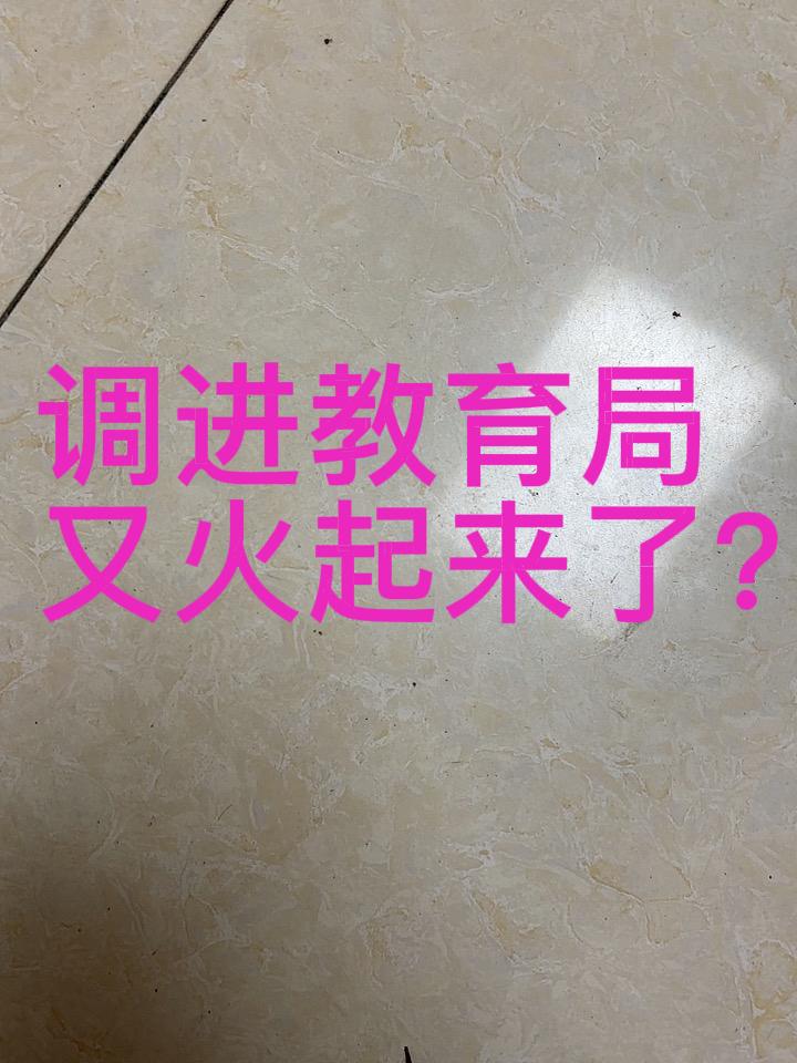 最近很多老师又开始比较想调进教育局了，以前说调进教育局只有做事的份，职称又没有岗
