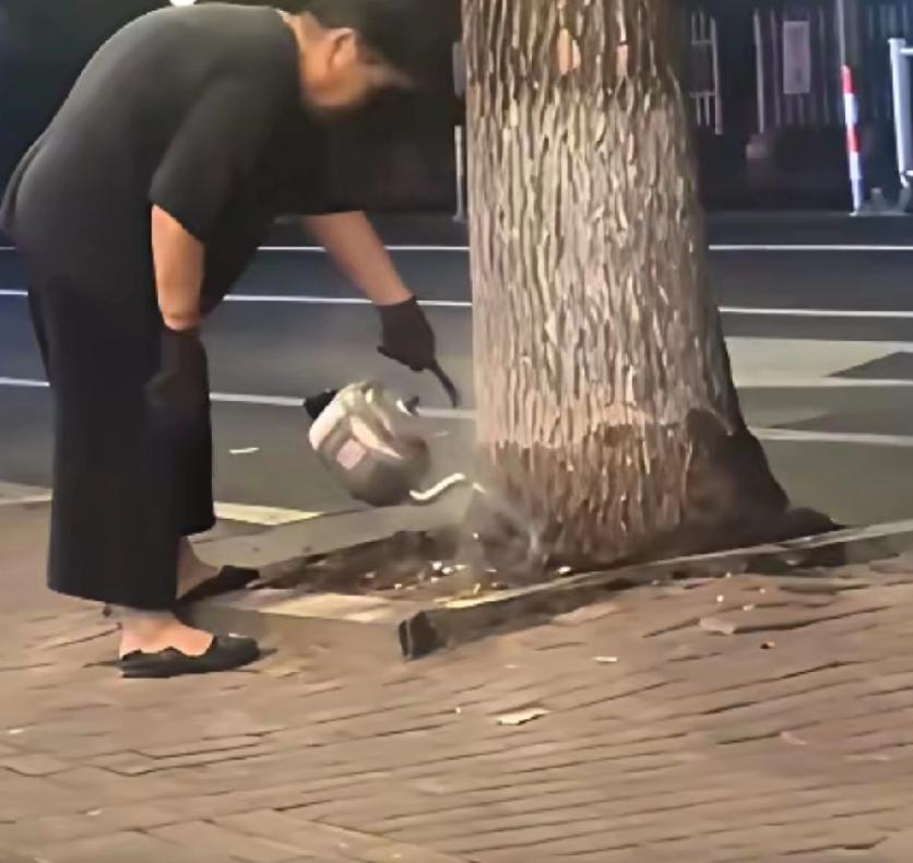 刷到一个视频，一个老太连续十四天用开水浇一棵银杏树视频里老太穿洗得发白的蓝布