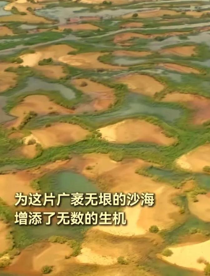 连续8年生态输水，让塔克拉玛干沙漠深处奇迹般浮现湿地画卷。塔克拉玛干沙漠变绿洲际