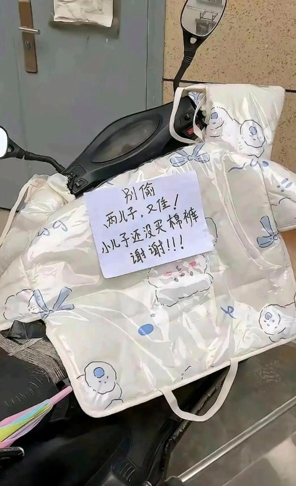 看到这个小偷还敢来偷吗？