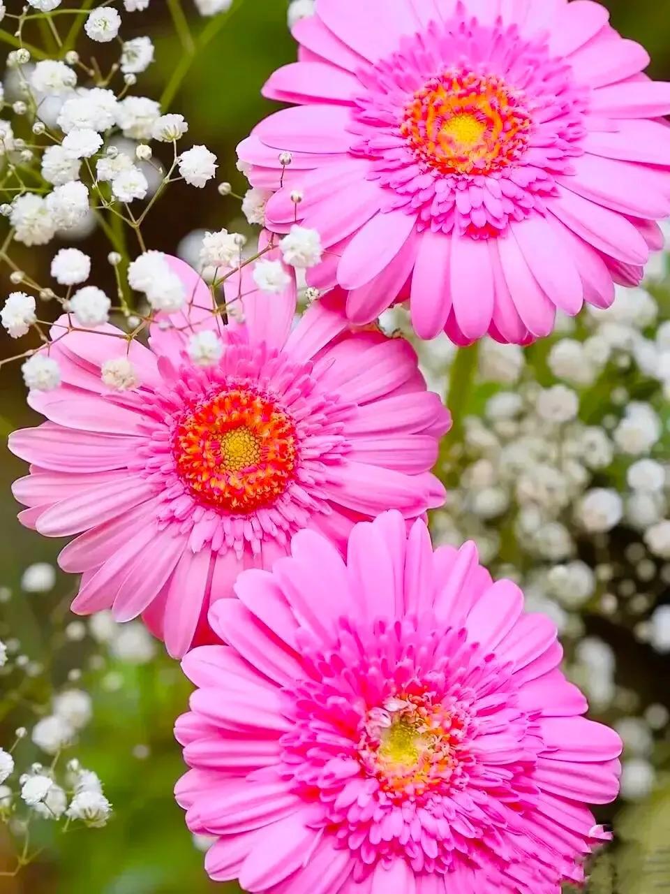 活着，面对生活最好的态度，就是接纳无常还能热烈依旧，沉淀过往后专注当下。别纠结那