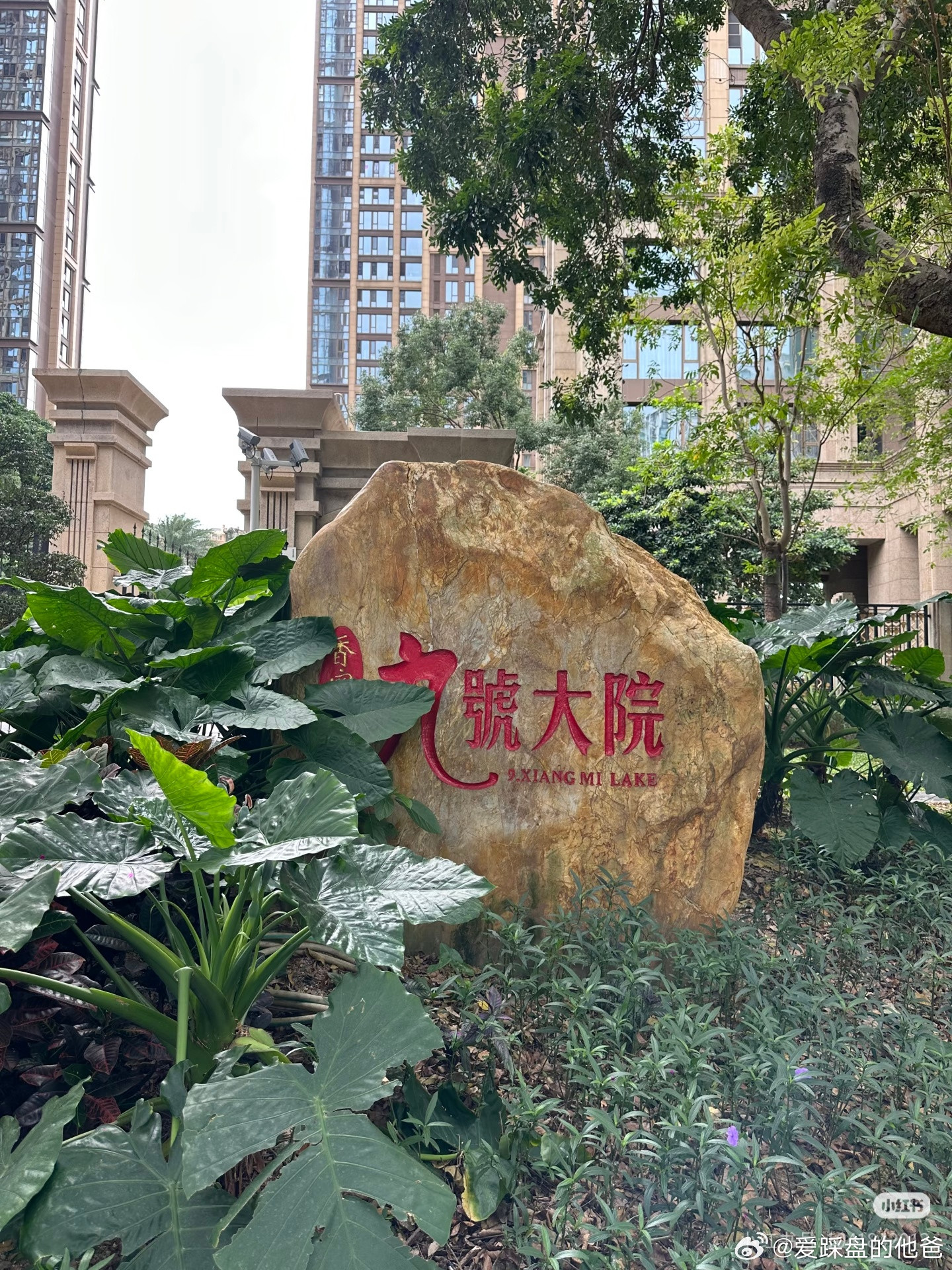 香蜜湖九号大院315平豪宅，这小区住了很多名人和有钱人。​​​