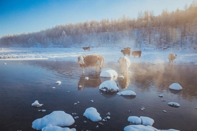 阿尔山，梦幻的百里雾凇，白雪皑皑的大地，共同构成一座无暇的人间仙境。