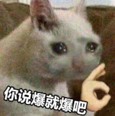 你说爆就爆吧[doge]​​​