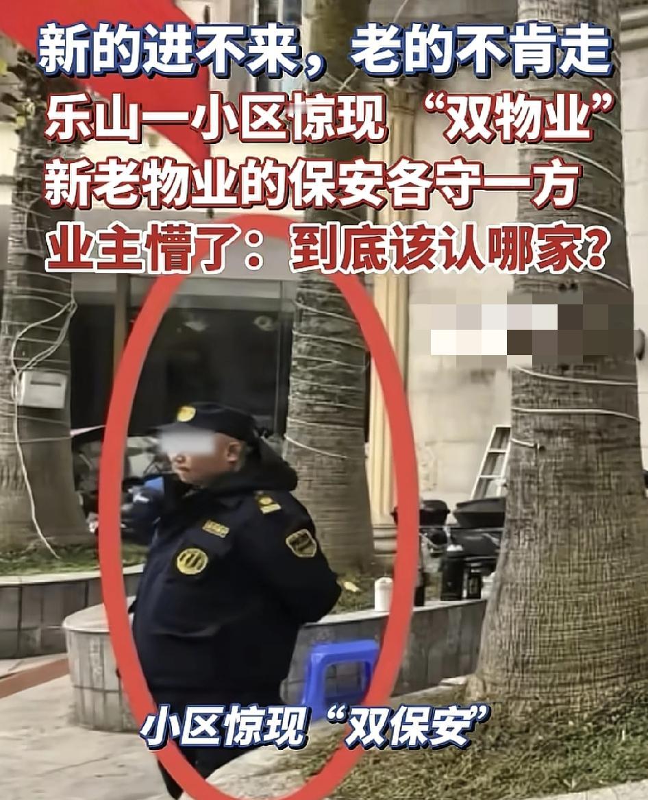 近日，四川乐山一小区进行双物业，不管是保安人员还是保洁人员，工程队，客服都是双份