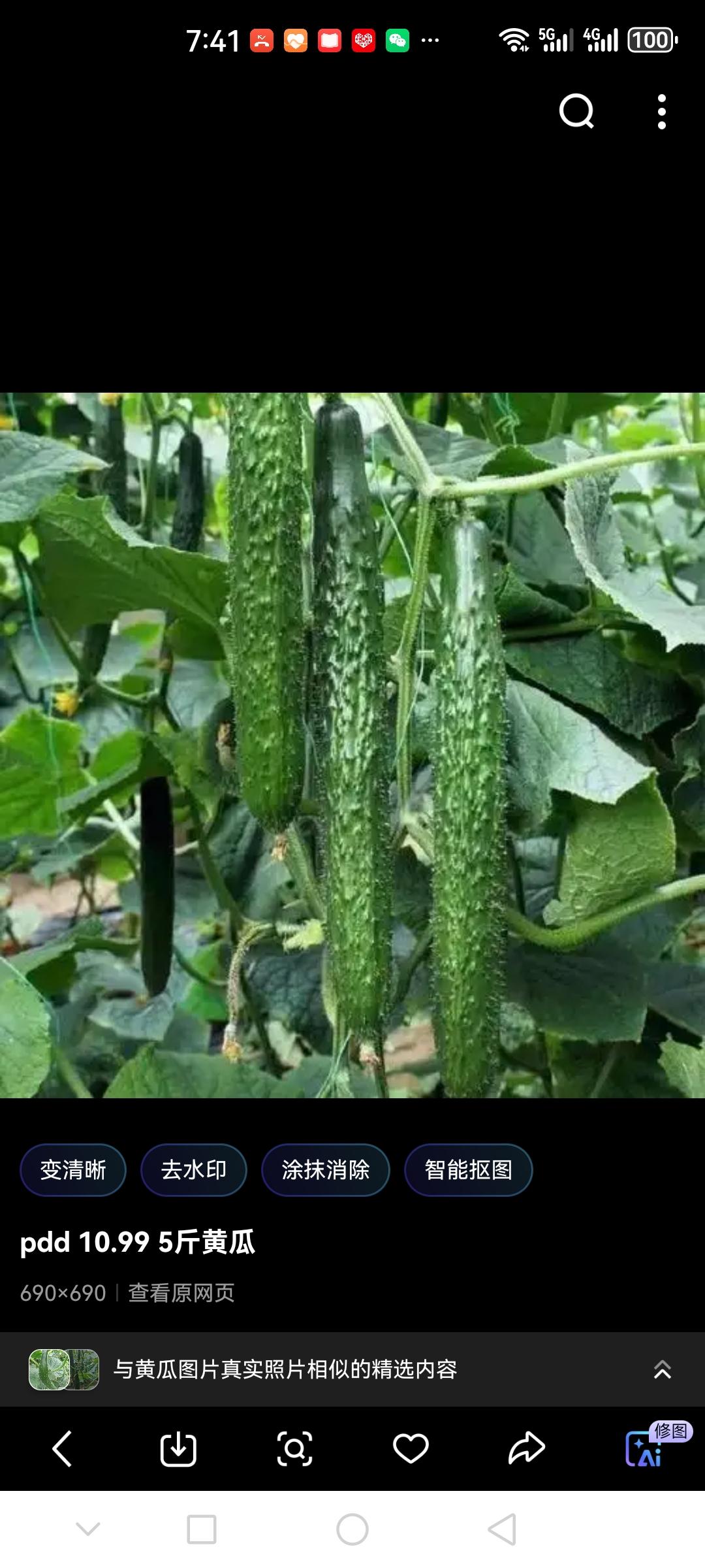 黄瓜茄子豆角三大蔬菜“剪一刀+七字口诀”高产万能管理法黄瓜茄子豆角想高产？记