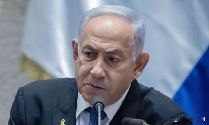 2026年4月29日，以色列总统赫尔佐格放出消息，派法律顾问把总检察长和内塔尼亚