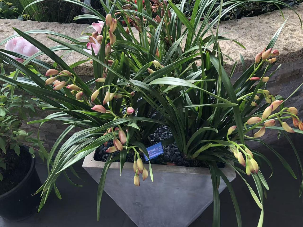 晒图笔记大赛景色真美