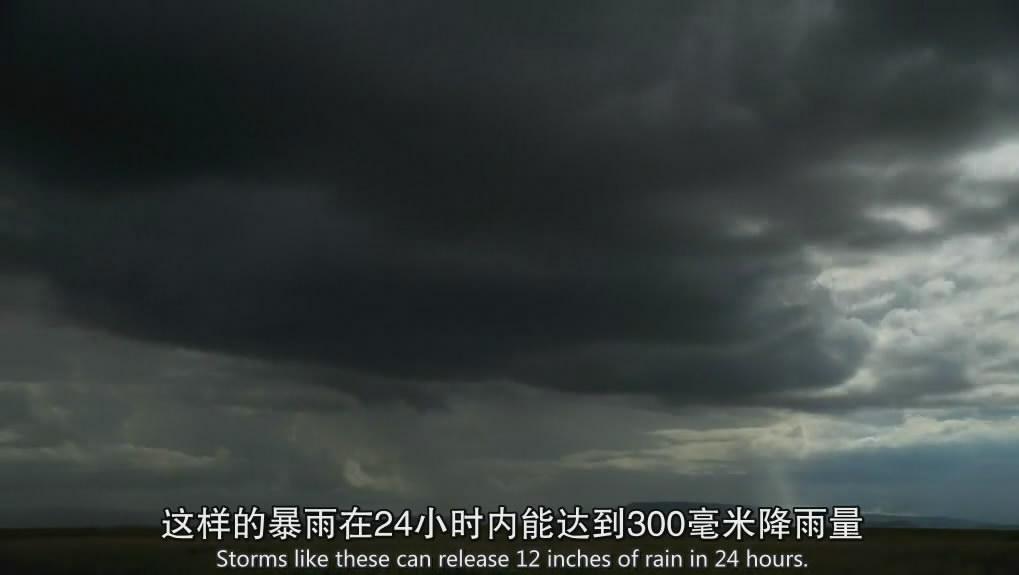 10454843930163633696.jpg?id=0