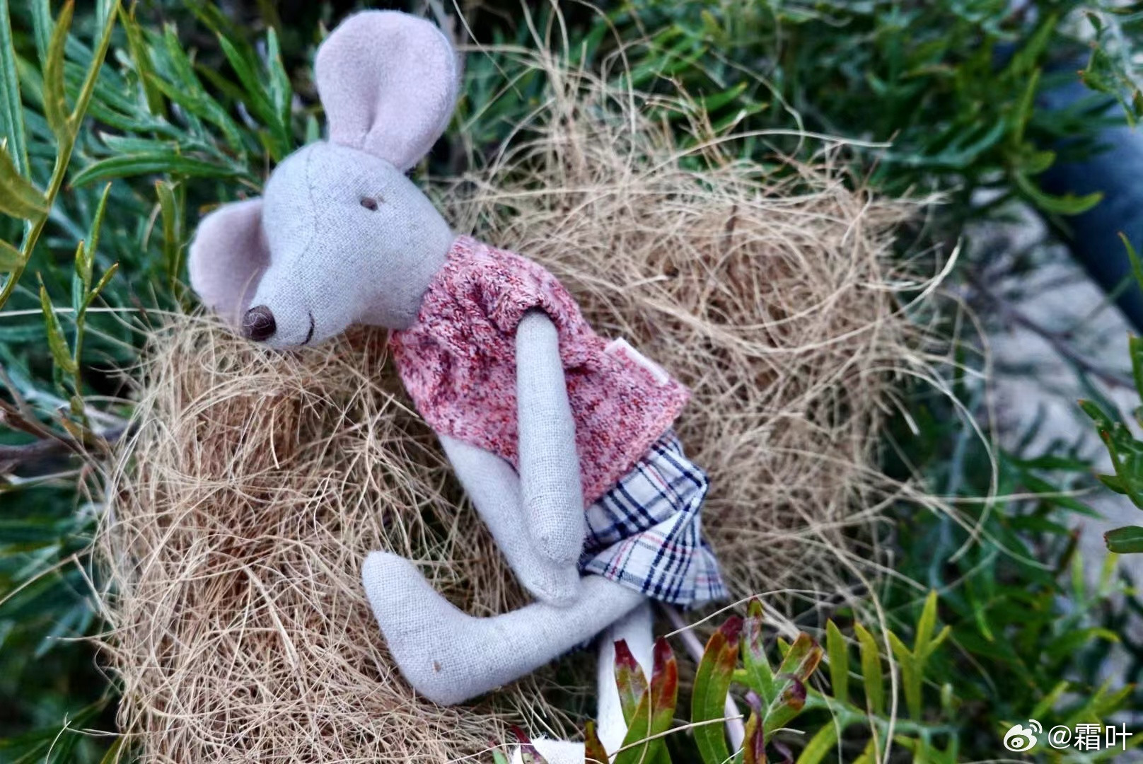 这是女儿小时候喜欢的小老鼠。她那时候总嘟着嘴巴，用稚嫩的声音说：这是我的！那是我