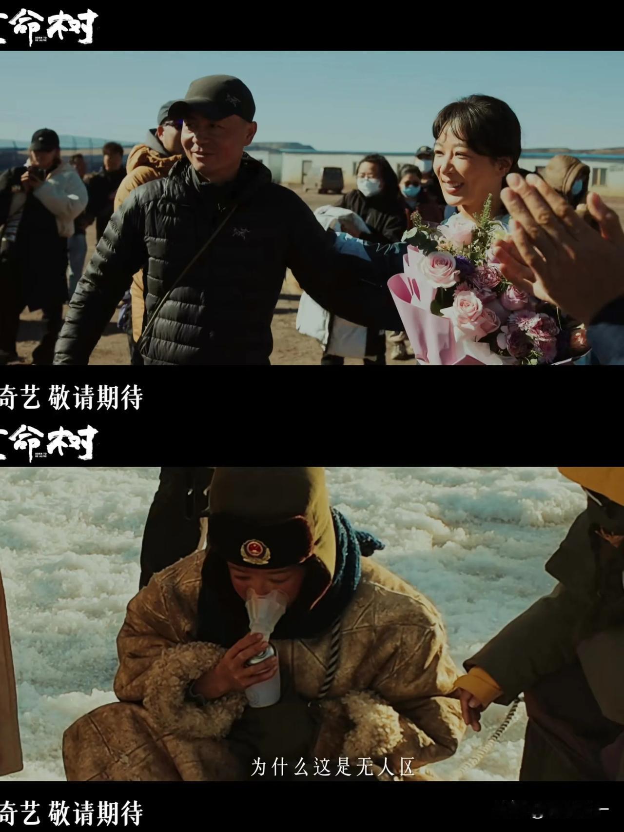 我的天,这才是演员啊!杨紫、胡歌《生命树》预告一出直接给我看泪目了。零下20度