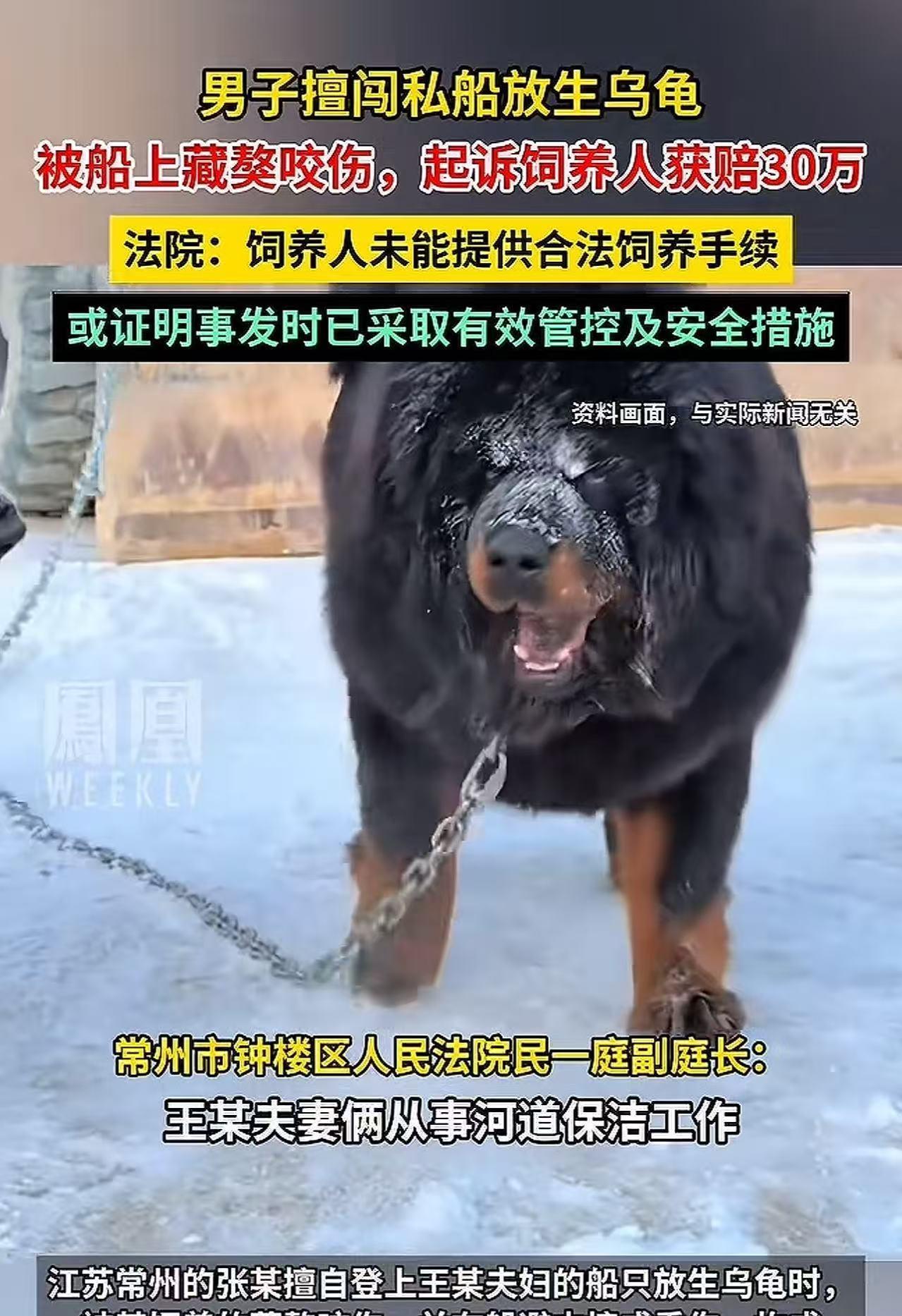 江苏常州，男子擅自上私家船放生乌龟，被船上藏獒咬伤，躲避时摔成9级伤残，要求船主