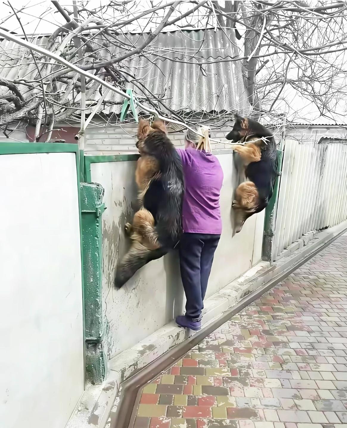 儿媳妇和婆婆吵架,这热闹给你们看得