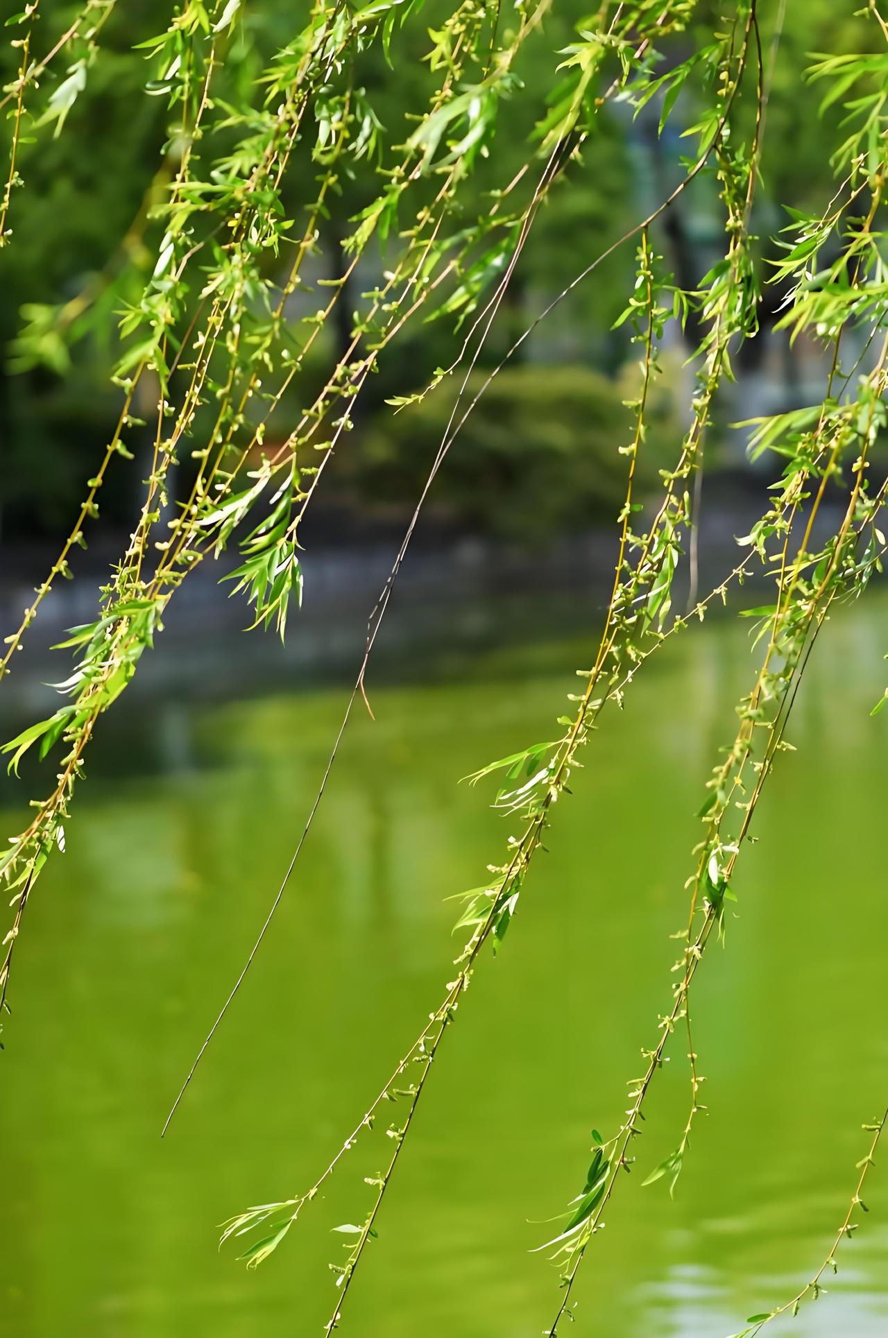 老家县城的一个姐妹都35岁了，还没找到合适的对象，蹉跎了10年。工作也不稳定，偶