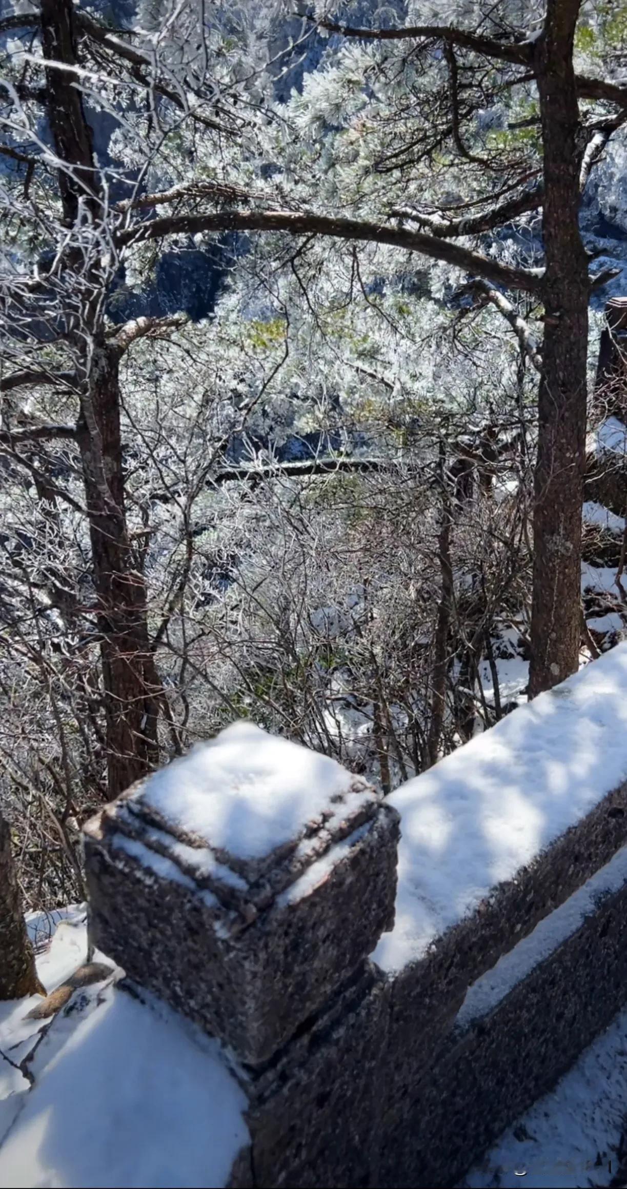 春日生活打卡季黄山雪霁