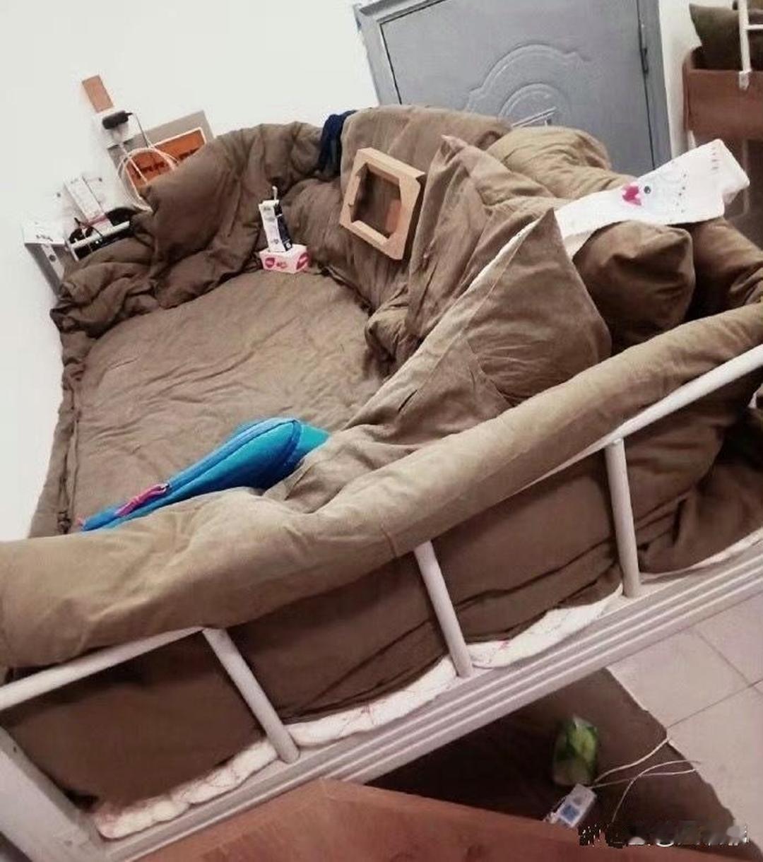 家人们！这上铺的价值，只有大学生明白呀！