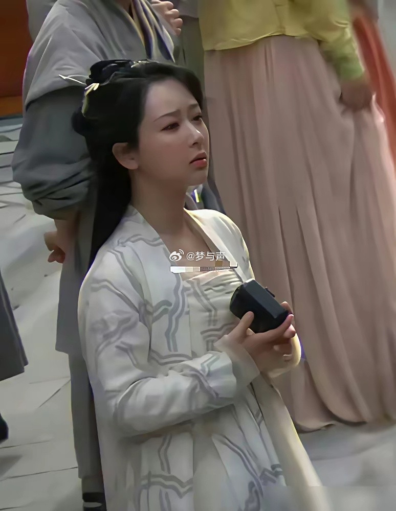 杨紫零片酬，20天补拍2000个镜头。一部4亿的大制作，眼看就要砸手里。剧组咬