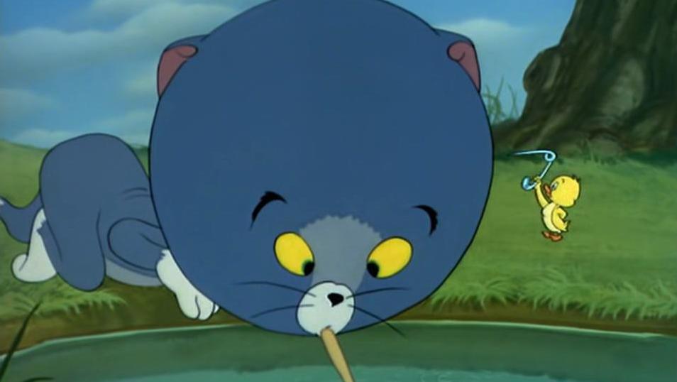 白毛之梦，小老鼠与小狗的奇妙邂逅