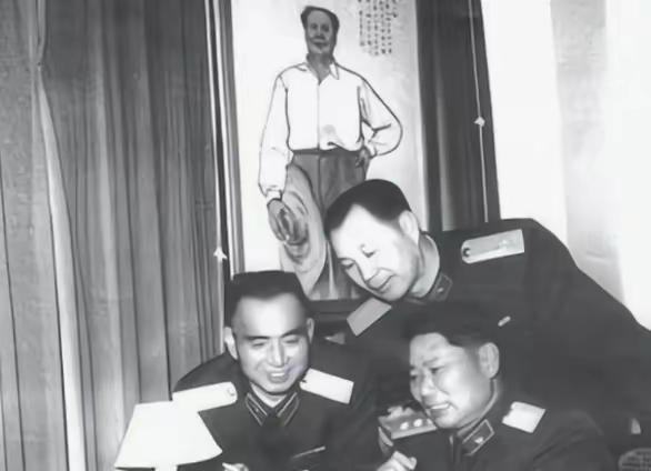 1980年，中纪委接到举报：主持总参工作的副总参谋长杨勇在京西宾馆设宴，欢迎来总
