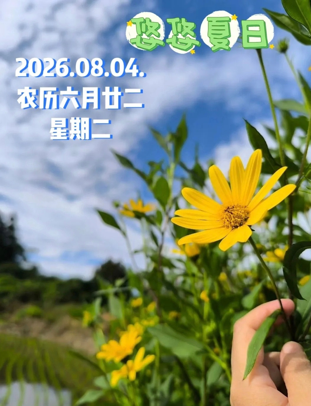 🌻周二愉快,清凉一夏💝🎉炎炎夏日，愿清风常伴你左右，带来丝丝凉意；愿甘泉
