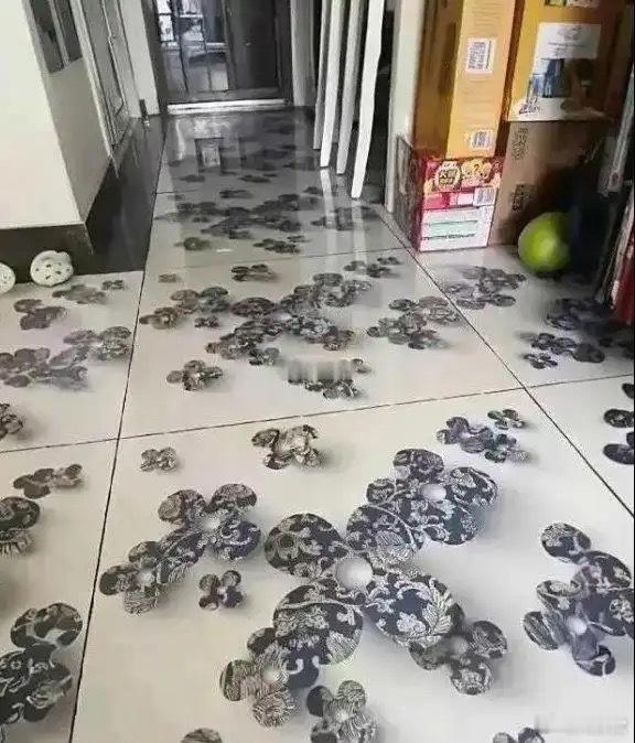 天塌了，婆婆选的瓷砖，怎么办呢？？