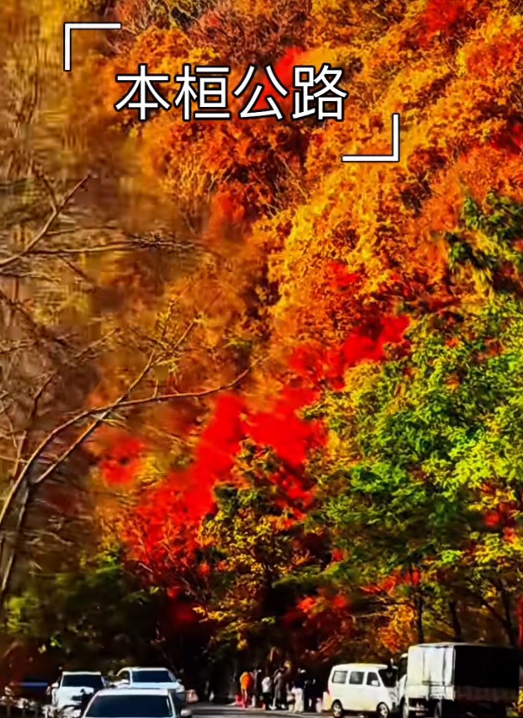 中国最美枫叶公路，美的不可思议。給家乡辽宁做个宣传，你如果想看枫叶，那就来本桓