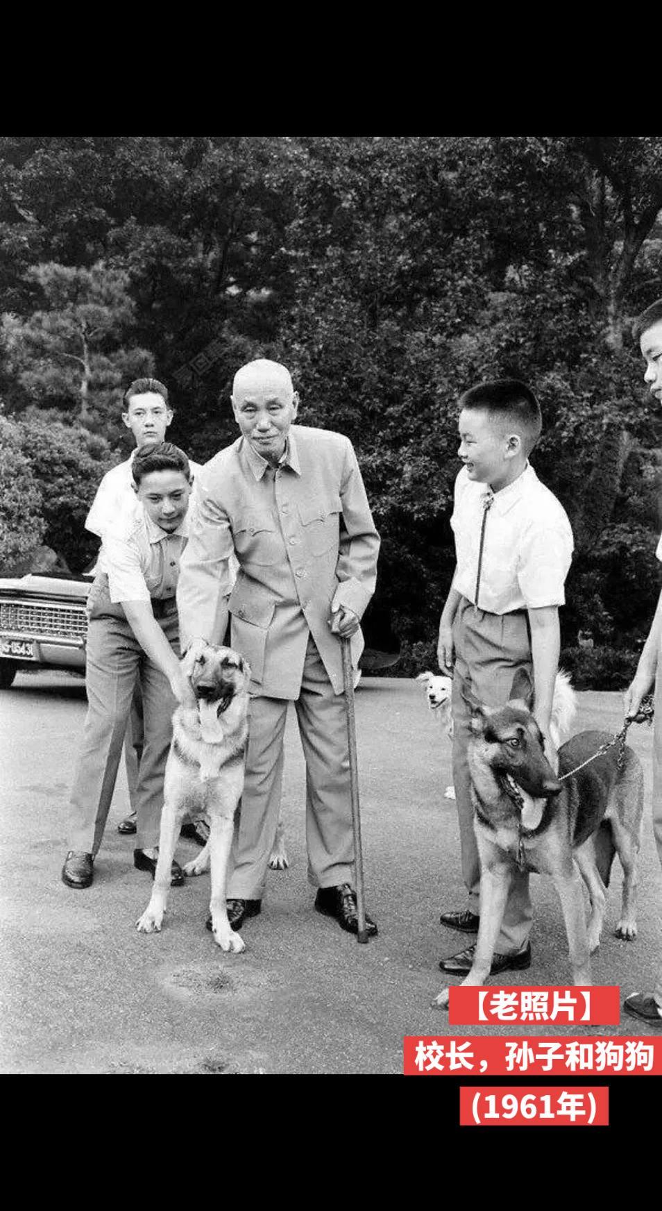 【老照片】校长，孙子和狗狗(1961年)