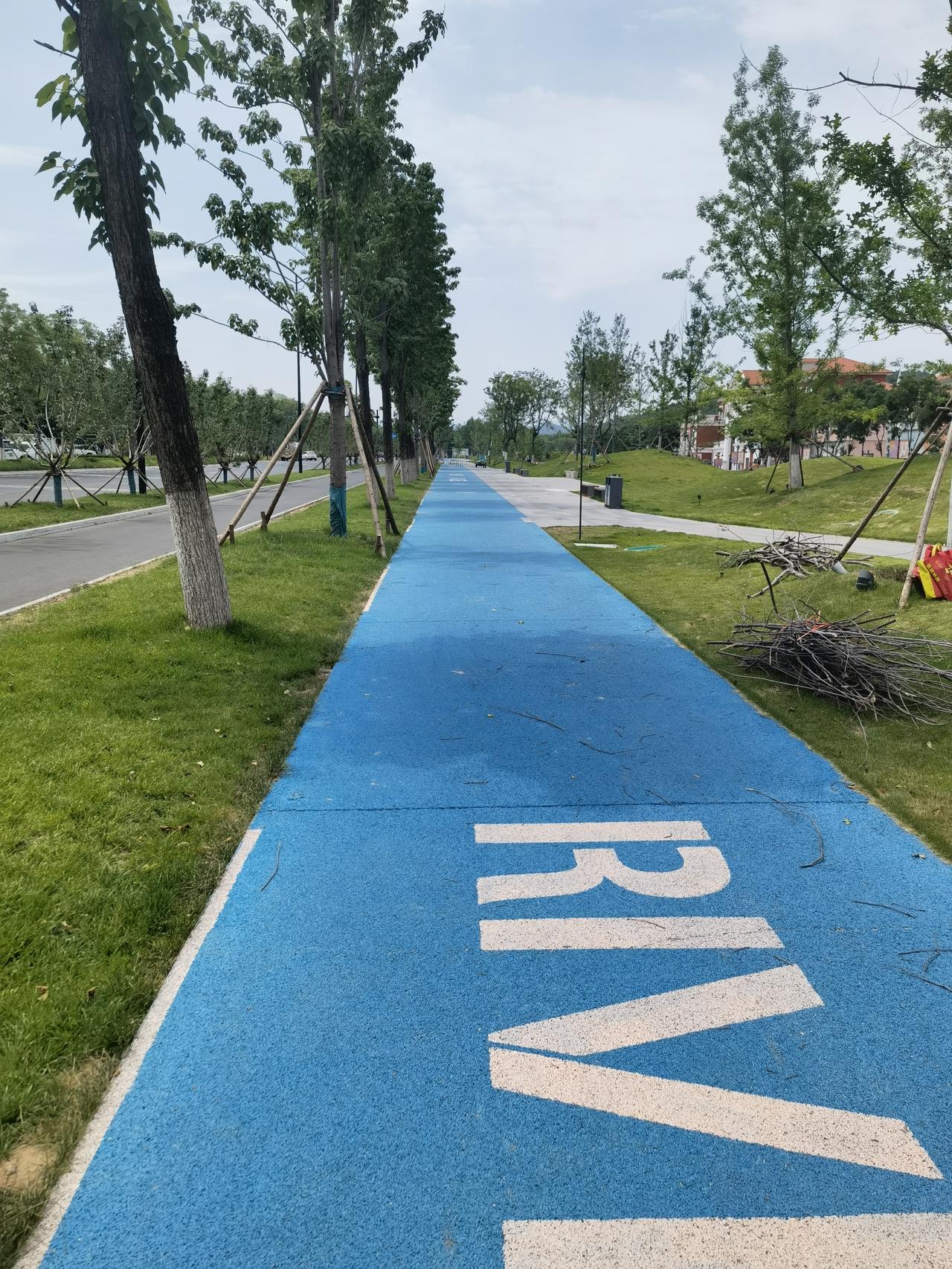 说起济南的强省会战略，网上一直有不少争议，有人觉得步子慢、起色有限，甚至说“再扶