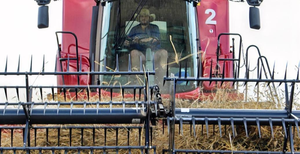 澳大利亚天塌了在加拿大总理卡尼上周访华之后，一家中国进口商购买了一批加拿大油