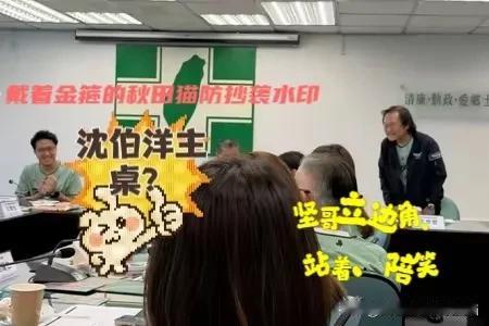 王世坚，虽是绿营资深立委，可谓几朝元老，在岛内也是小有名气，但如今却已沦落到“江