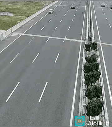 这是我见过最牛的女司机了！真不知道她的驾驶证到底是从哪里来的，在高速路上掉头逆行