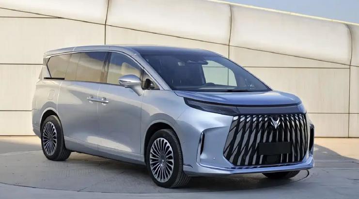 日前，我们从最新一期工信部目录中看到了极狐全新大型MPV的申报信息。新车内部代