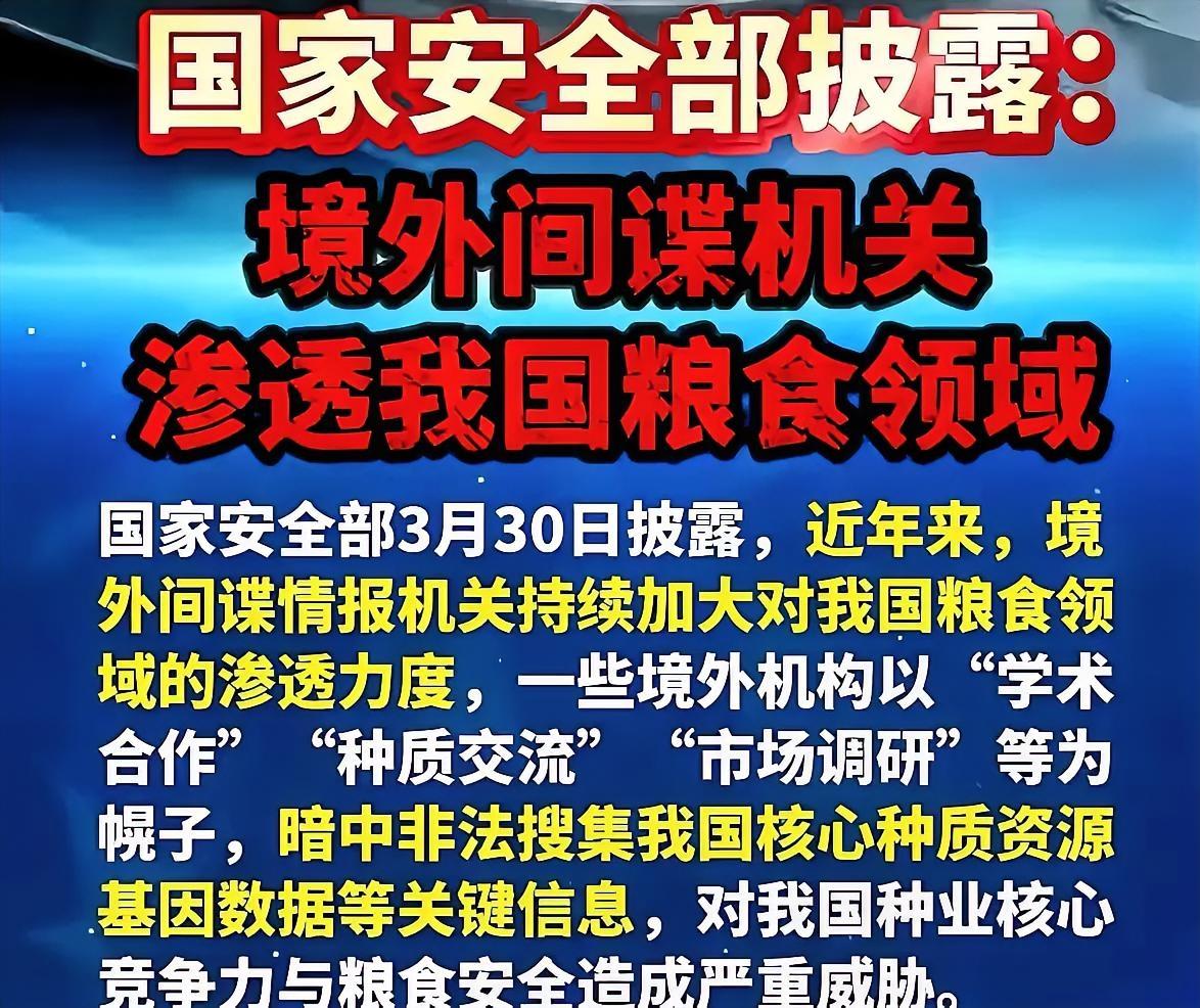 别小看田间地头的种子，那是我们的命根子国安部30号的通报，看得人直冒冷汗。