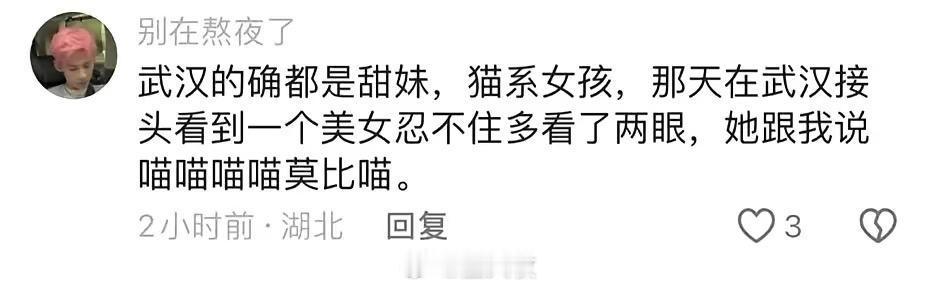 我证实，猫人之城是这样的