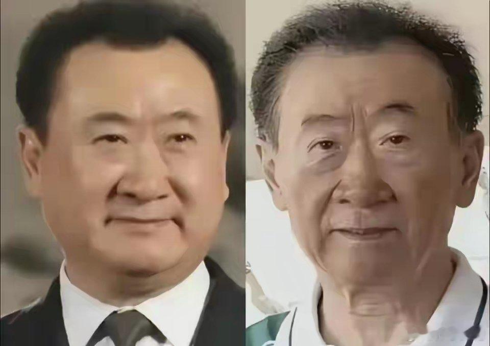 2015年，王健林站在哈佛大学的讲台上意气风发，放言"万达进入的行业，无论国企央