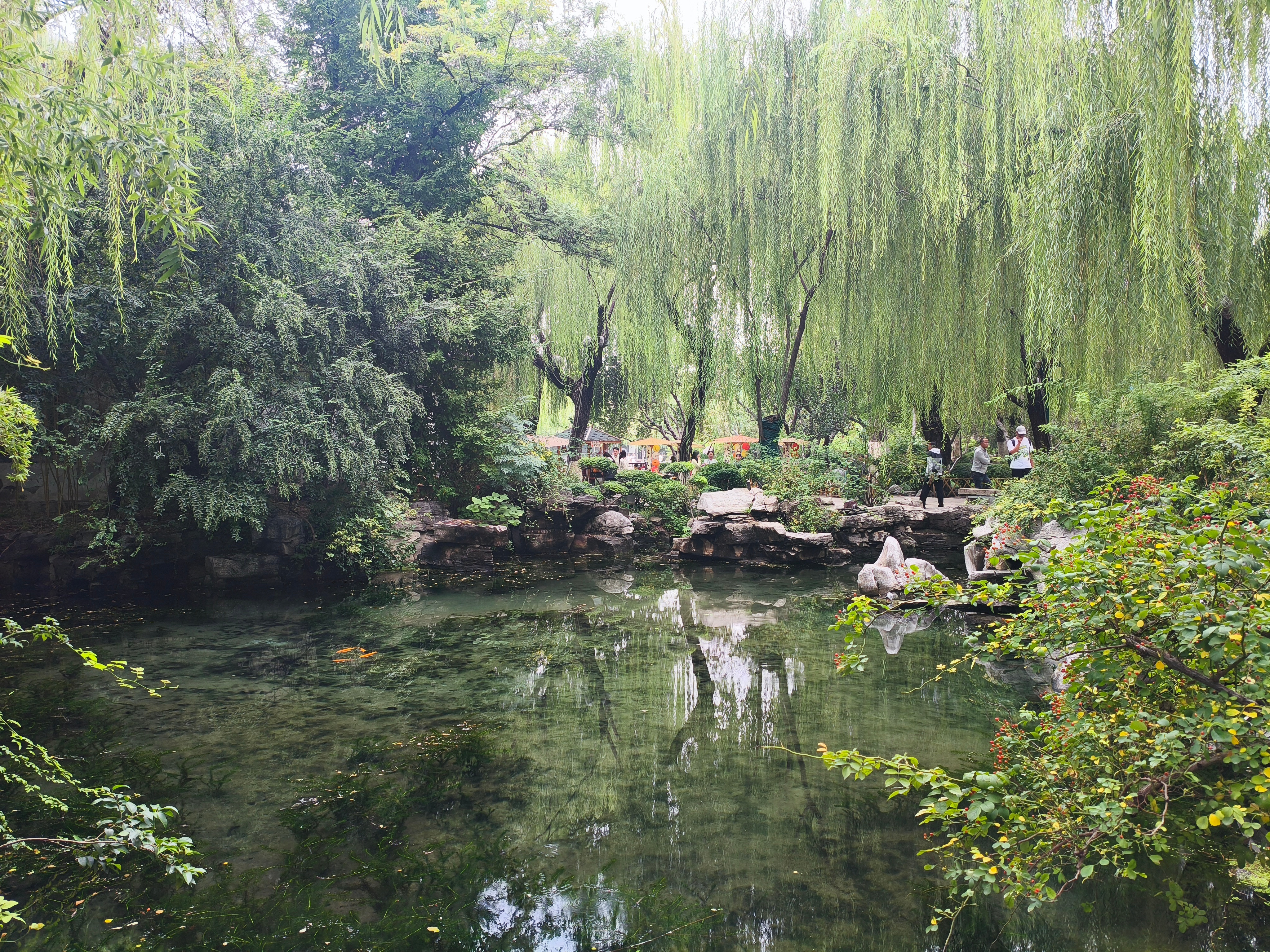 济南旅游趵突泉大明湖五龙潭旅游日记济南两日游，一座有历史文化底蕴的省会城市，1