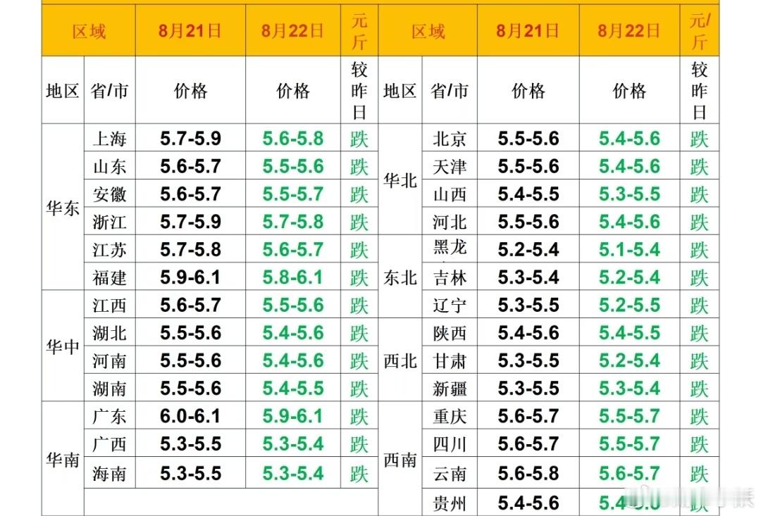 每日猪价