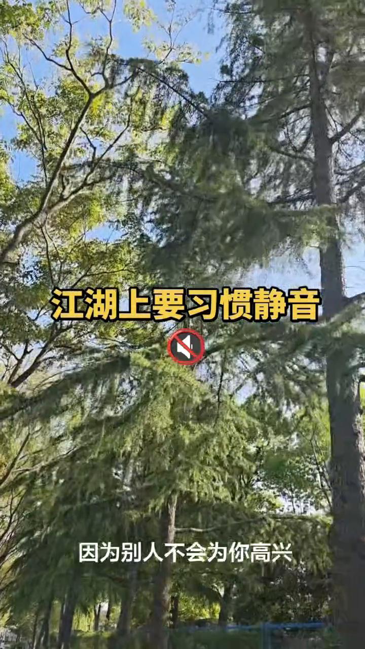 江湖上要习惯静音。·高兴的事情不要和别人说，因为别人不会为你高兴，只会嫉妒你。