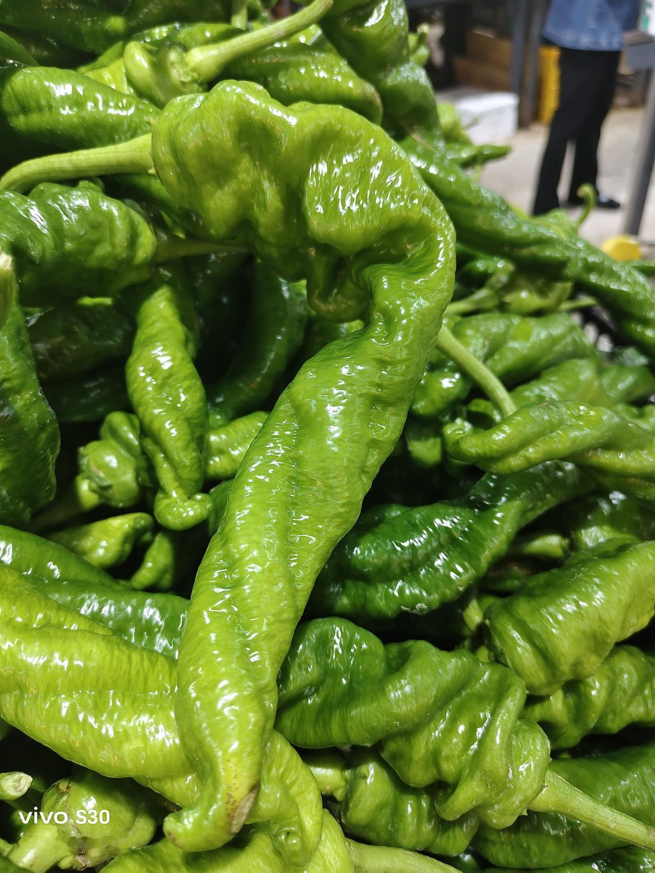 我仔细的端详着、闻着，旁边有几个买菜的也拿着辣椒好奇地看着，笑着。其中一个老年女