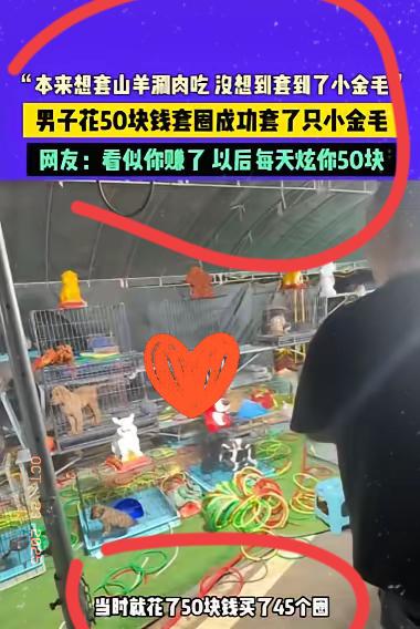 谁懂啊!云南大哥夜市花50块套圈,本想套只山羊回去涮肉,结果居然套着只小金毛