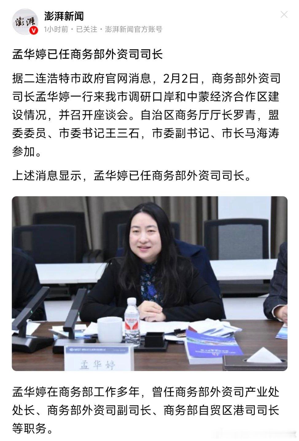 孟华婷已任商务部外资司司长。