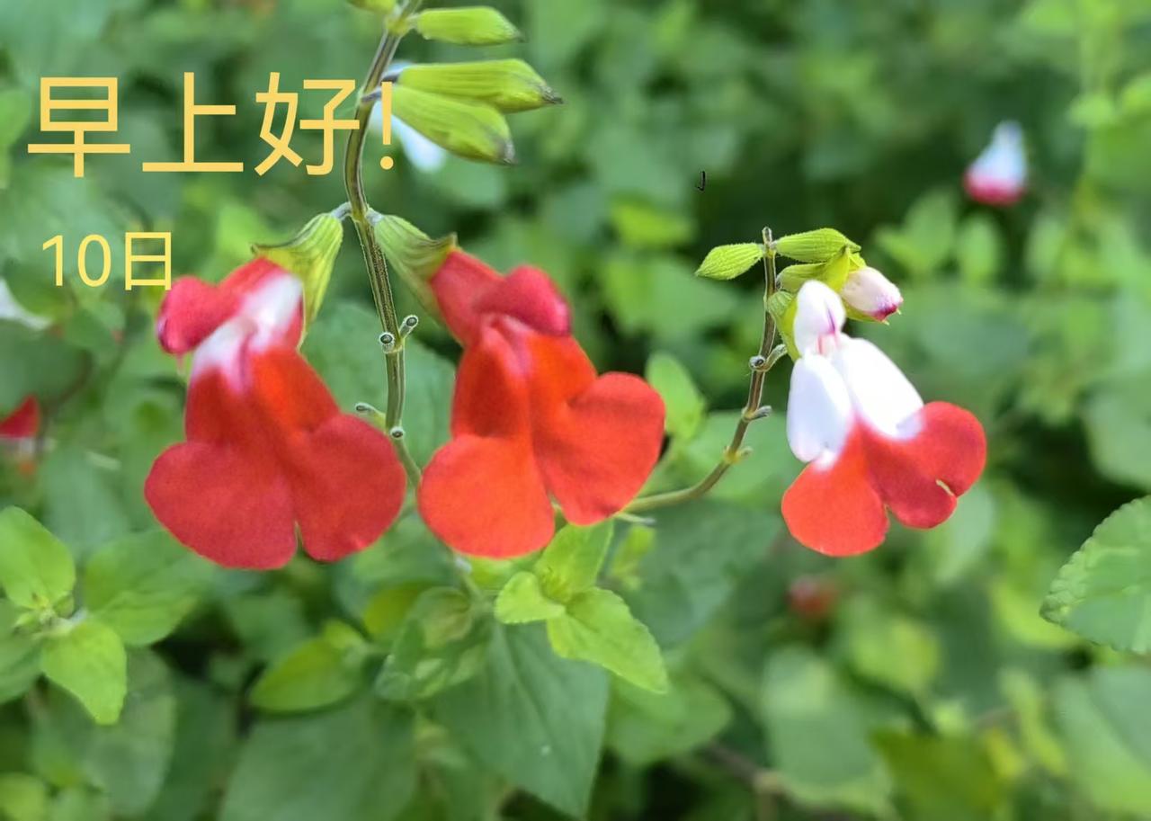 如果让最优秀的老师去教最差的学生，结果会怎样呢？答案，如果同样都是差生，好老