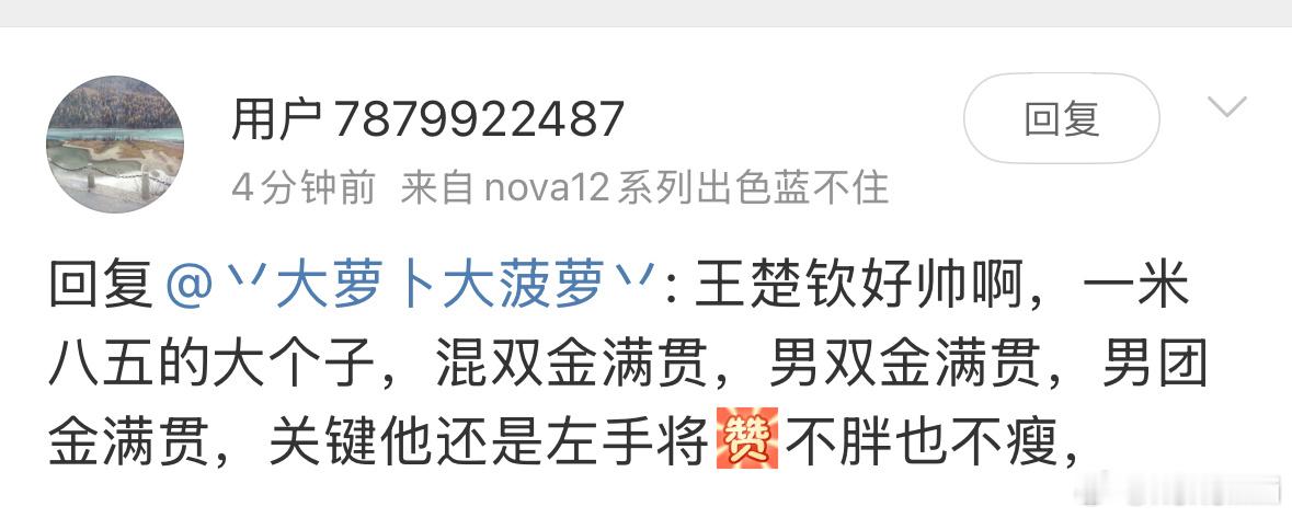 谁能告诉我，这几个金满贯是什么玩意儿？？混双、男团、男双一个全的都没有还好意思满
