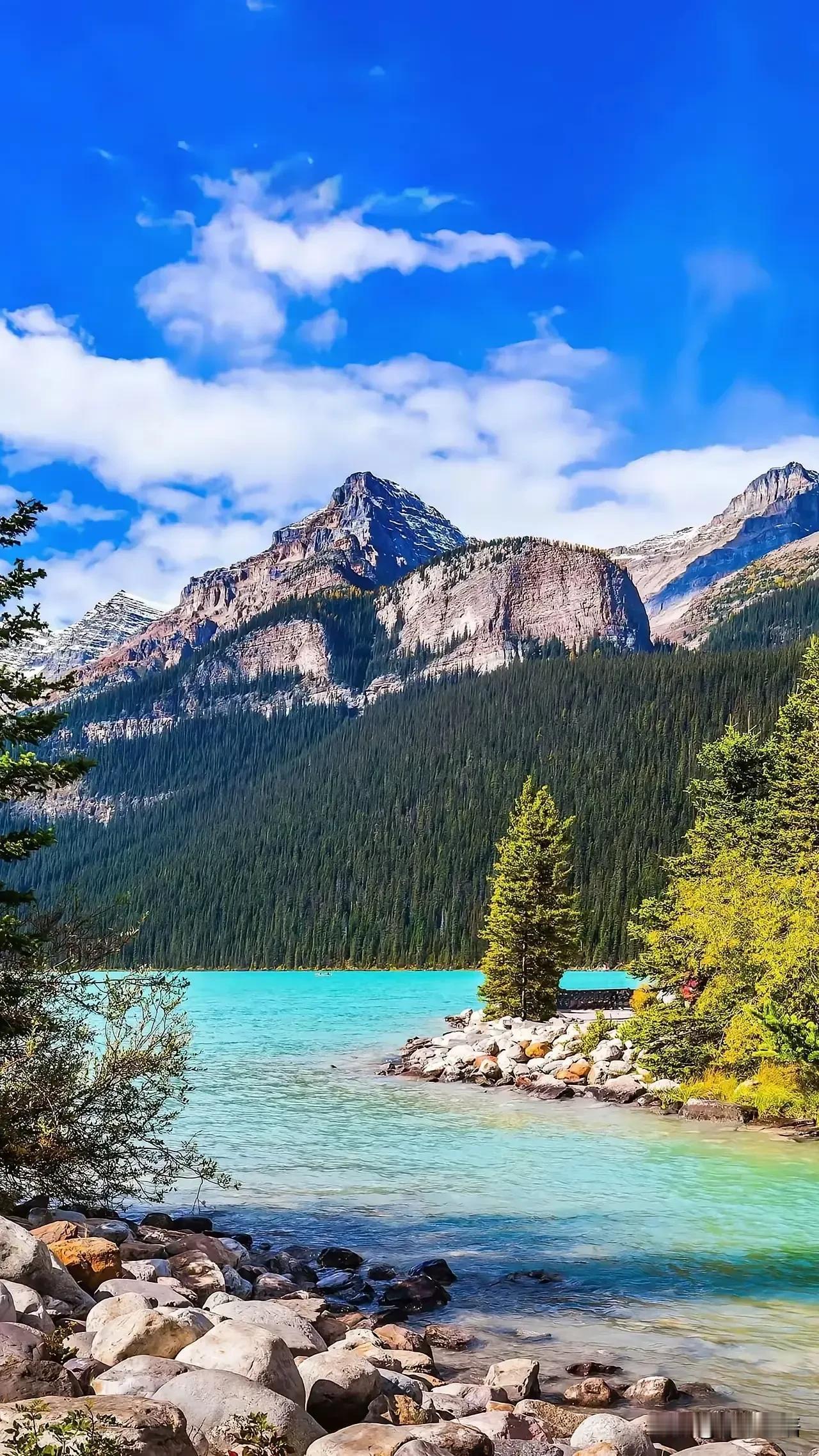 复旦大学陈果说：“没有任何一个女人会在自己喜欢的男人面前表现得很强势，而强势其实