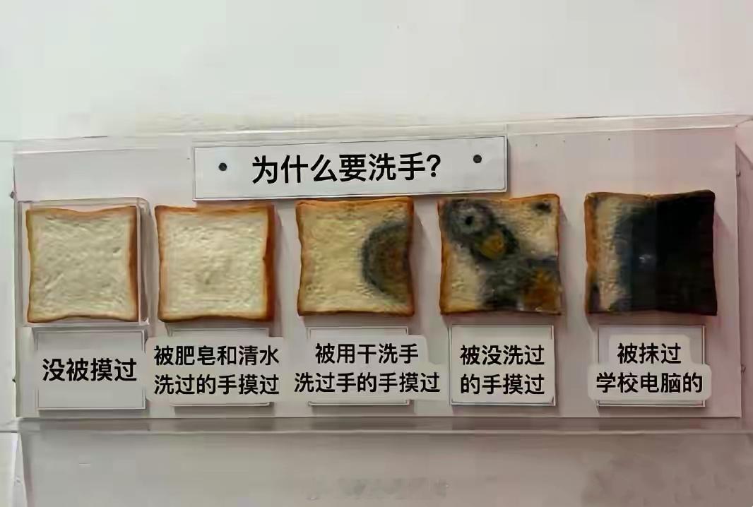 为什么要洗手？此刻具象化了！🤣